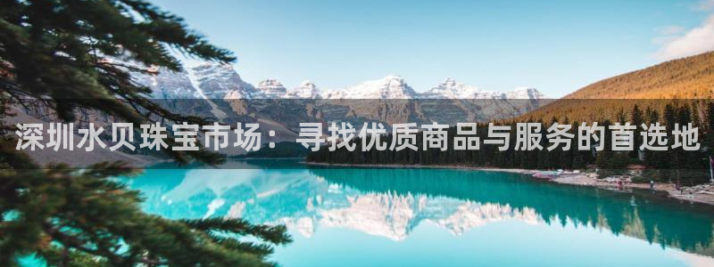 新宝5寻33 300球：深圳水贝珠宝市场：寻找优质商品与服务的首选地