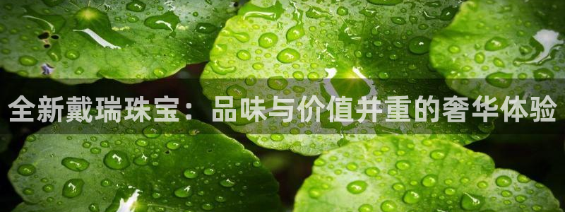 新宝5测速平台登录