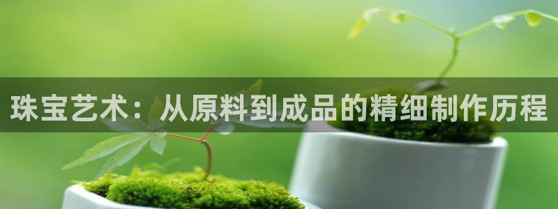 新宝5娱乐主管