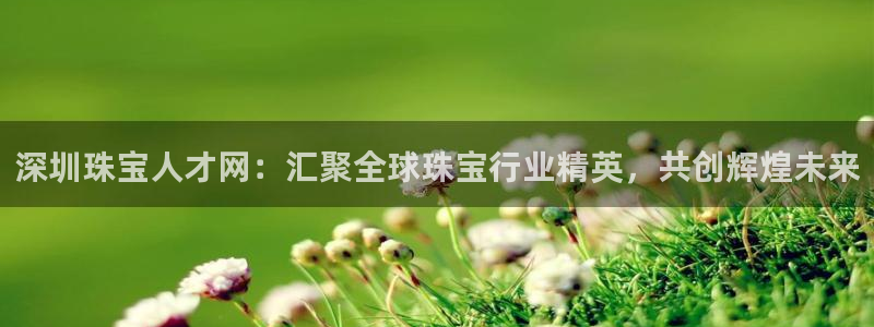 新宝5登陆地址：深圳珠宝人才网：汇聚全球珠宝行业精英，共创辉煌未来