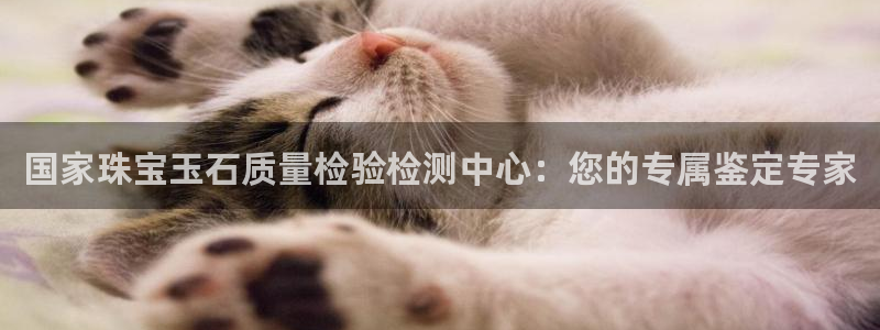 新宝5 唯一：国家珠宝玉石质量检验检测中心：您的专属鉴定专家