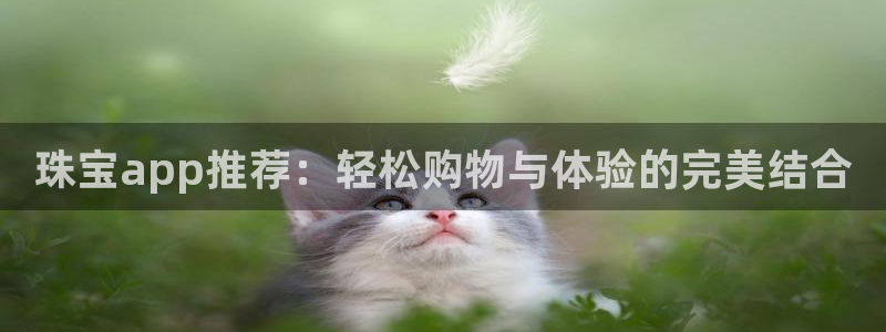 新宝5的网址：珠宝app推荐：轻松购物与体验的完美结合