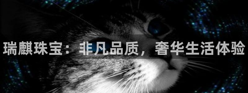 新宝5手机app：瑞麒珠宝：非凡品质，奢华生活体验