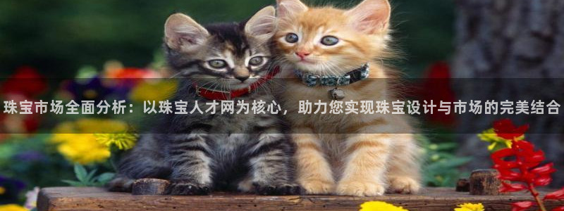 新宝5下载 迅雷下载：珠宝市场全面分析：以珠宝人才网为核心，助力您实现珠宝设计与
