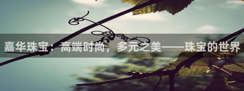 新5宝：嘉华珠宝：高端时尚，多元之美——珠宝的世界