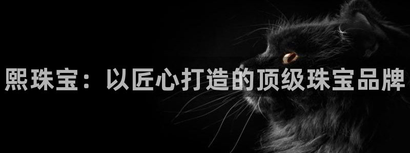 新宝5在哪里：熙珠宝：以匠心打造的顶级珠宝品牌