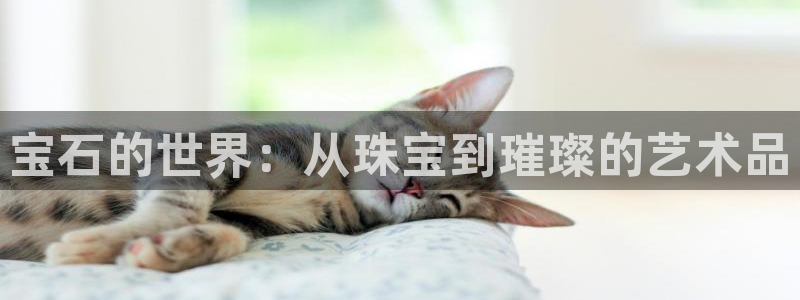 新宝5系列：宝石的世界：从珠宝到璀璨的艺术品