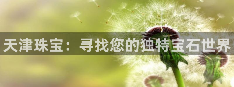 新宝rm5：天津珠宝：寻找您的独特宝石世界