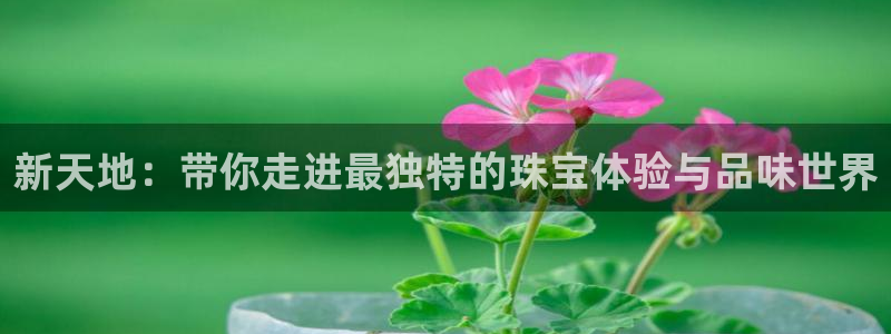 新宝5官网67五壹叁八：新天地：带你走进最独特的珠宝体验与品味世界