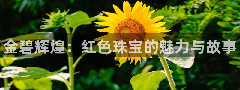 新宝5开好：金碧辉煌：红色珠宝的魅力与故事