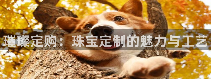 新宝5挂机软件：璀璨定购：珠宝定制的魅力与工艺