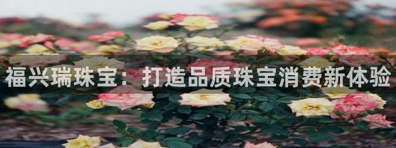 新宝5内部：福兴瑞珠宝：打造品质珠宝消费新体验