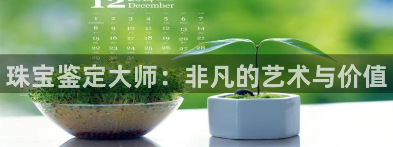 新宝5X：珠宝鉴定大师：非凡的艺术与价值