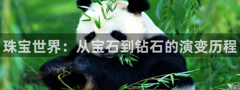 新宝5尤74OOO5：珠宝世界：从宝石到钻石的演变历程