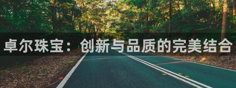 新宝5手机版登录：卓尔珠宝：创新与品质的完美结合