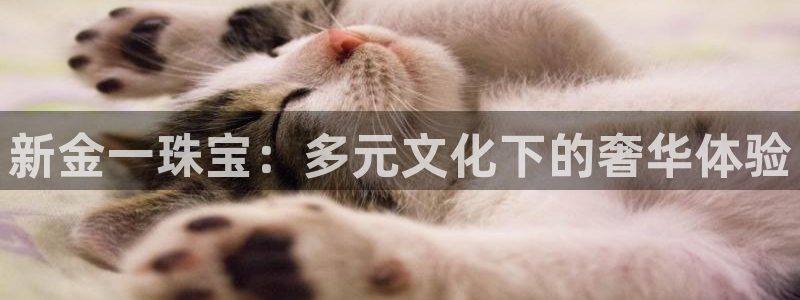 新宝5登录不了：新金一珠宝：多元文化下的奢华体验