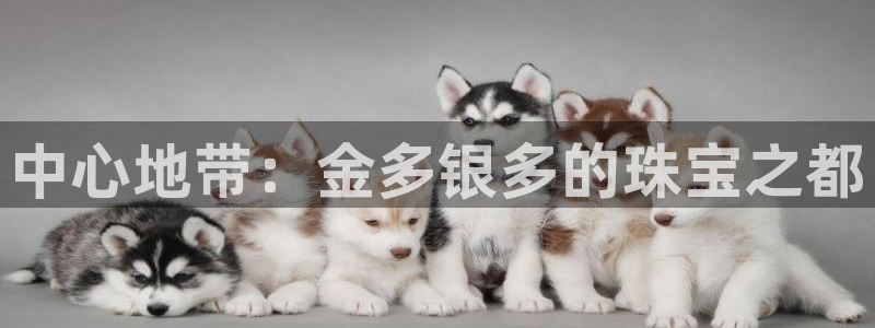 新宝5平台登陆：中心地带：金多银多的珠宝之都