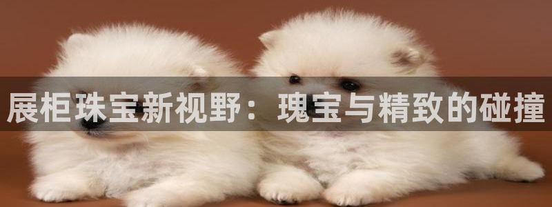 新宝5招商：展柜珠宝新视野：瑰宝与精致的碰撞