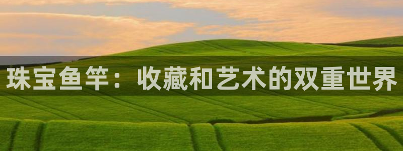 新宝5台卡：珠宝鱼竿：收藏和艺术的双重世界