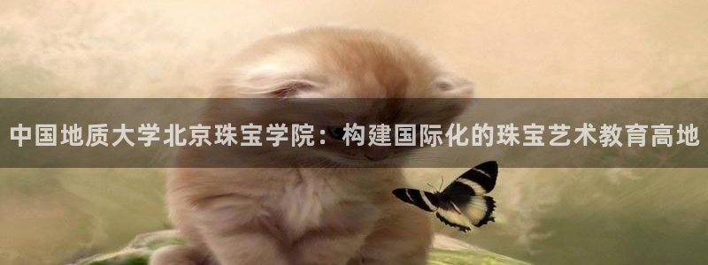 新宝5招商部：中国地质大学北京珠宝学院：构建国际化的珠宝艺术教育高地