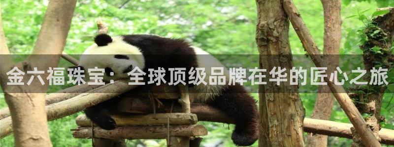 新宝股东王听2 5 5：金六福珠宝：全球顶级品牌在华的匠心之旅