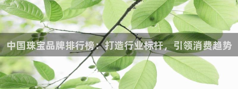 新宝5娱乐学：中国珠宝品牌排行榜：打造行业标杆，引领消费趋势
