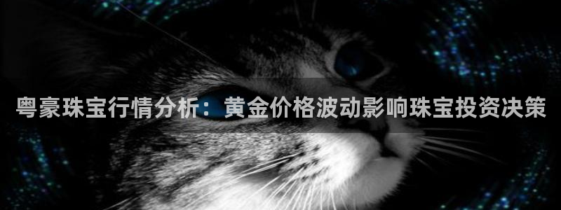 新宝5官网：粤豪珠宝行情分析：黄金价格波动影响珠宝投资决策