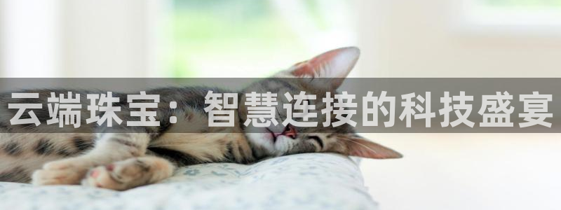 新宝5黑彩：云端珠宝：智慧连接的科技盛宴