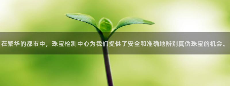 新宝5下载官方：在繁华的都市中，珠宝检测中心为我们提供了安全和准确地辨别真伪珠宝
