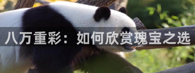 新宝5地址：八万重彩：如何欣赏瑰宝之选