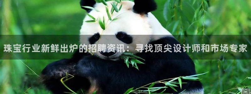 新宝5蒋74OOO5：珠宝行业新鲜出炉的招聘资讯：寻找顶尖设计师和市场专家