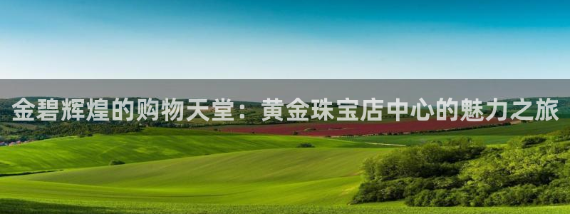 新宝5平台注册资金：金碧辉煌的购物天堂：黄金珠宝店中心的魅力之旅