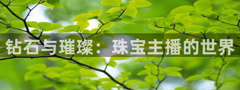 新5宝：钻石与璀璨：珠宝主播的世界