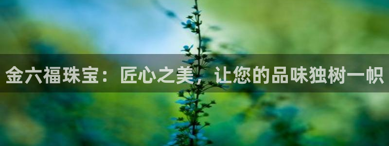 新宝5开户