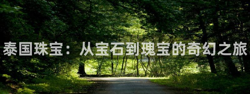新宝5官方