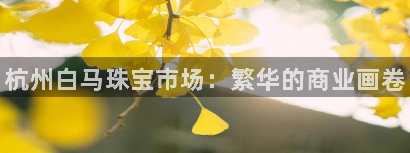 股票5G宝新：杭州白马珠宝市场：繁华的商业画卷