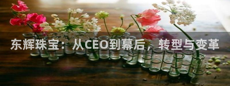 新宝h2O5O5O：东辉珠宝：从CEO到幕后，转型与变革