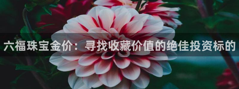 新宝5导师：六福珠宝金价：寻找收藏价值的绝佳投资标的