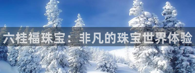 5新宝：六桂福珠宝：非凡的珠宝世界体验