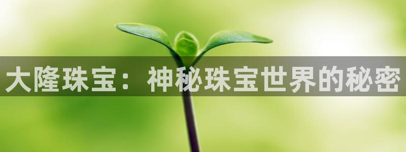 新宝5手机版：大隆珠宝：神秘珠宝世界的秘密