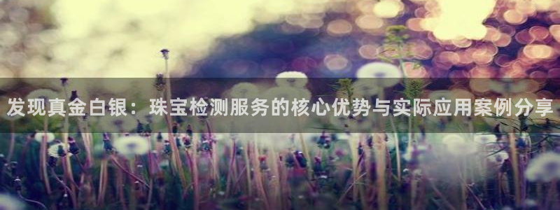 新宝5线路登录检测：发现真金白银：珠宝检测服务的核心优势与实际应用案例分享