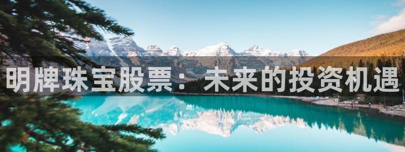 新宝5上70 667：明牌珠宝股票：未来的投资机遇