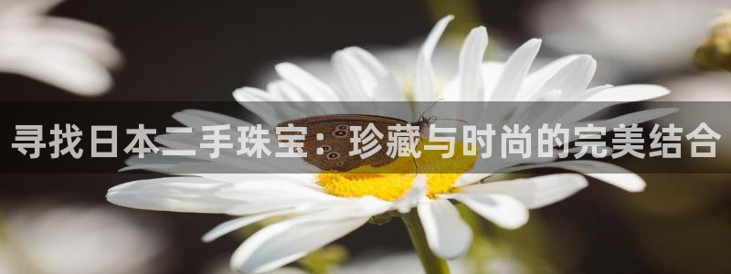 新宝5的网址：寻找日本二手珠宝：珍藏与时尚的完美结合