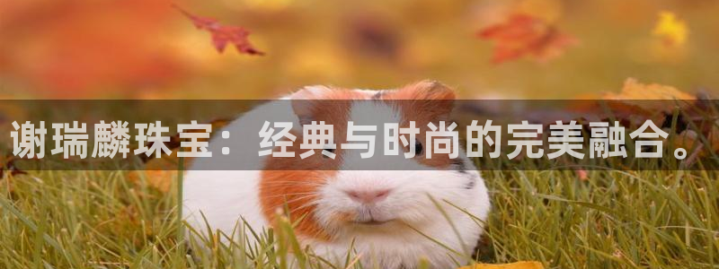 新宝5登录平台：谢瑞麟珠宝：经典与时尚的完美融合。