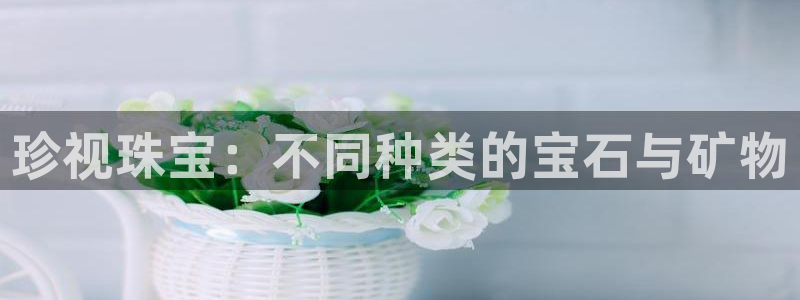 新宝5测速：珍视珠宝：不同种类的宝石与矿物