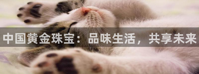 新宝5娱乐登陆：中国黄金珠宝：品味生活，共享未来