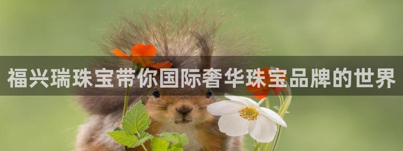 新宝5下载到桌面：福兴瑞珠宝带你国际奢华珠宝品牌的世界