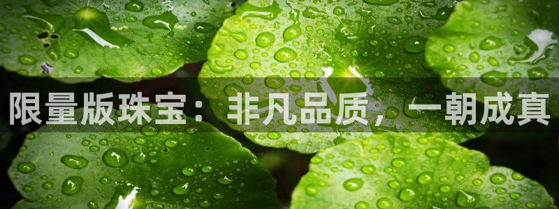 新宝5在哪里：限量版珠宝：非凡品质，一朝成真