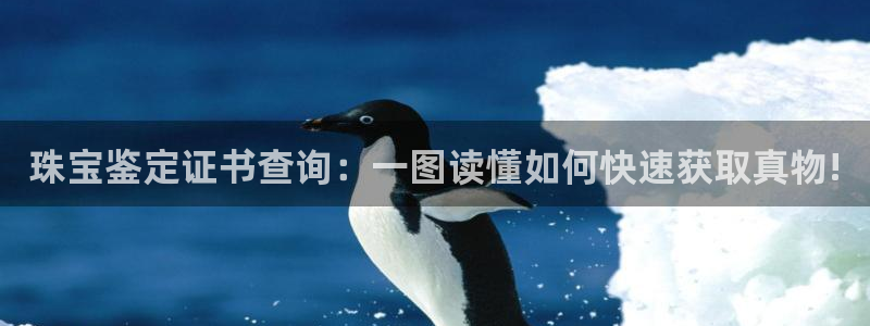 新宝5下载官方：珠宝鉴定证书查询：一图读懂如何快速获取真物!