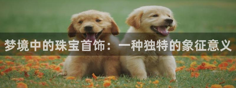 新宝股东张听2 5 5：梦境中的珠宝首饰：一种独特的象征意义